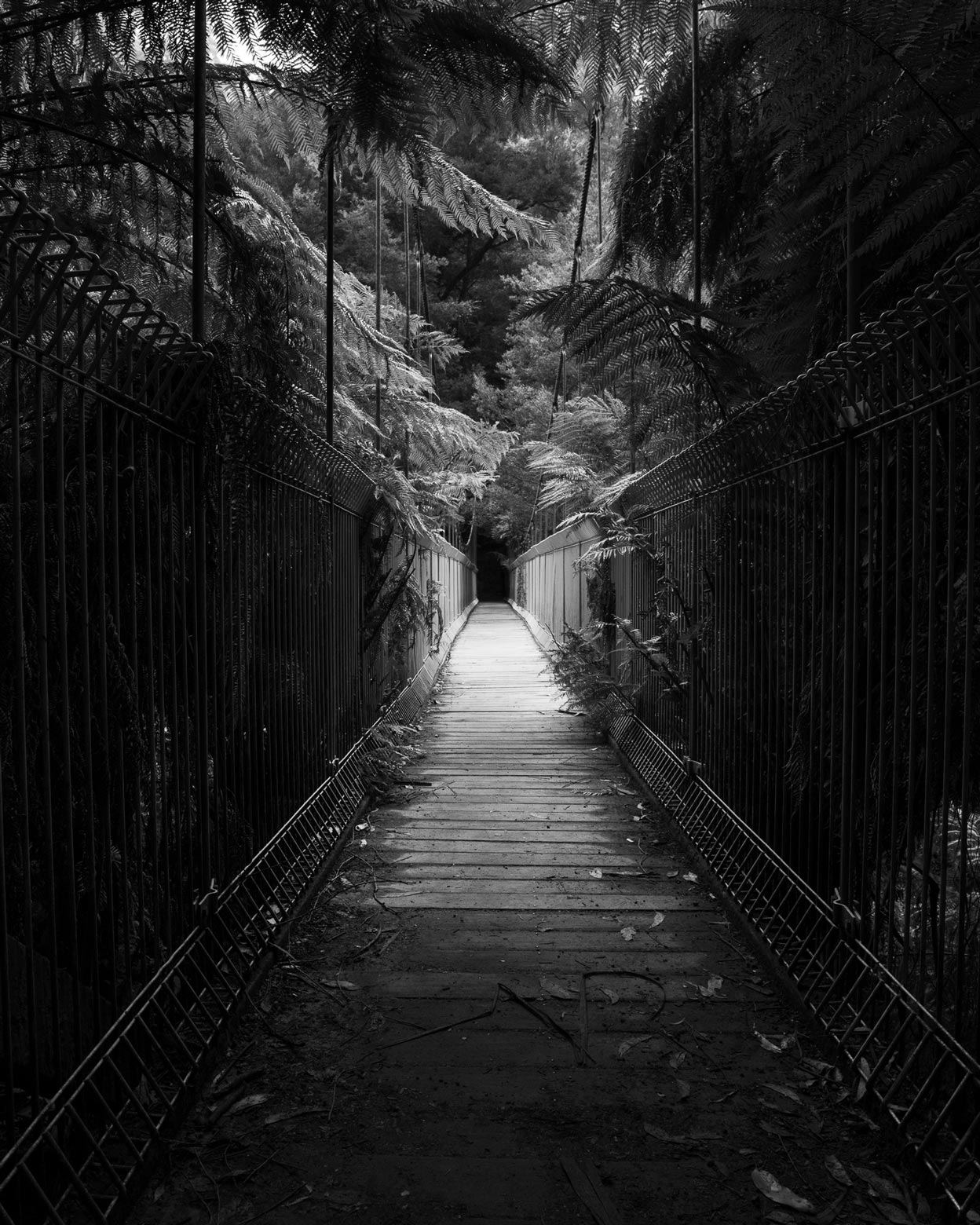 Tarra-Bulga-Bridge