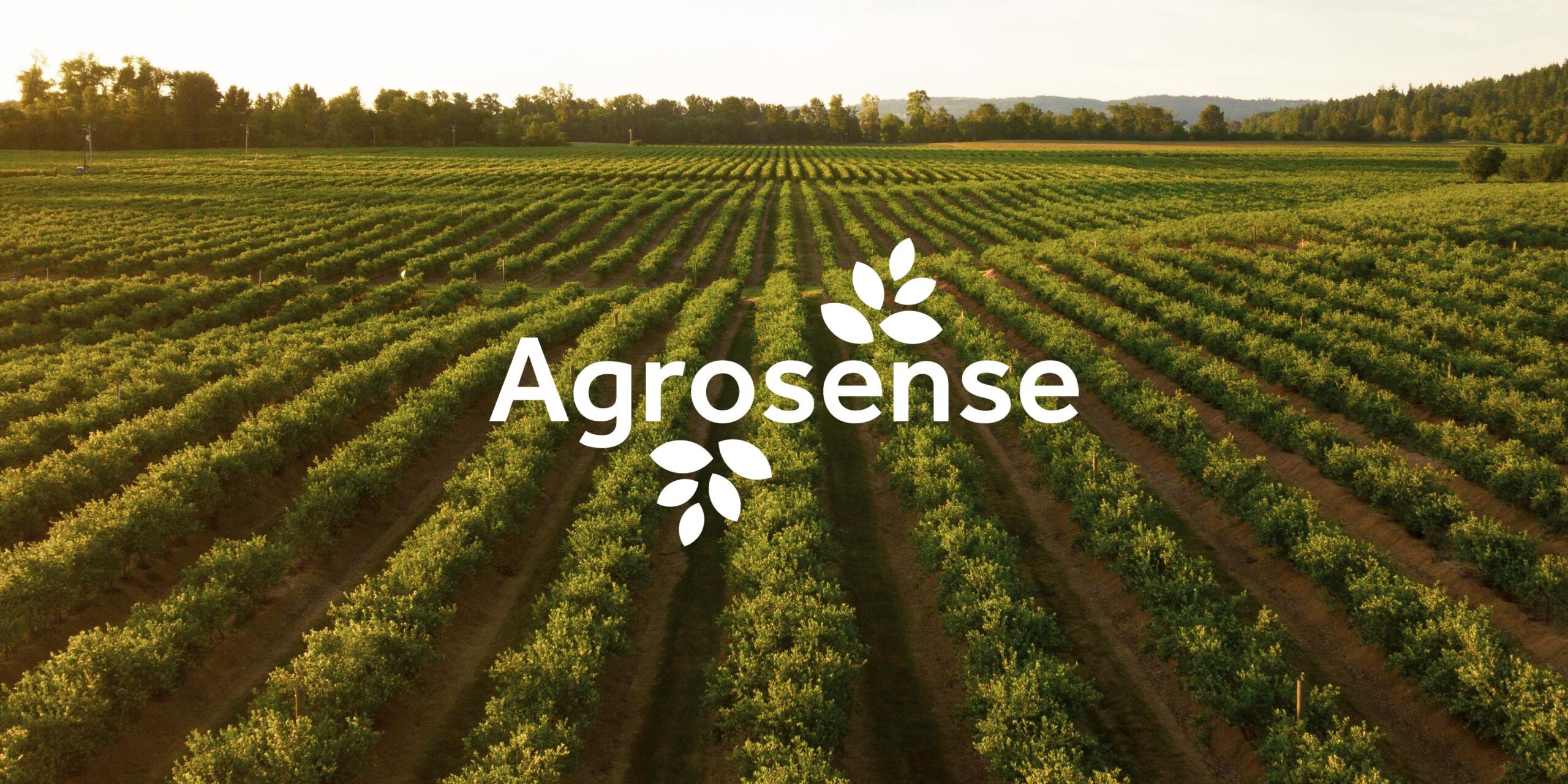 Agrosense Logo Banner